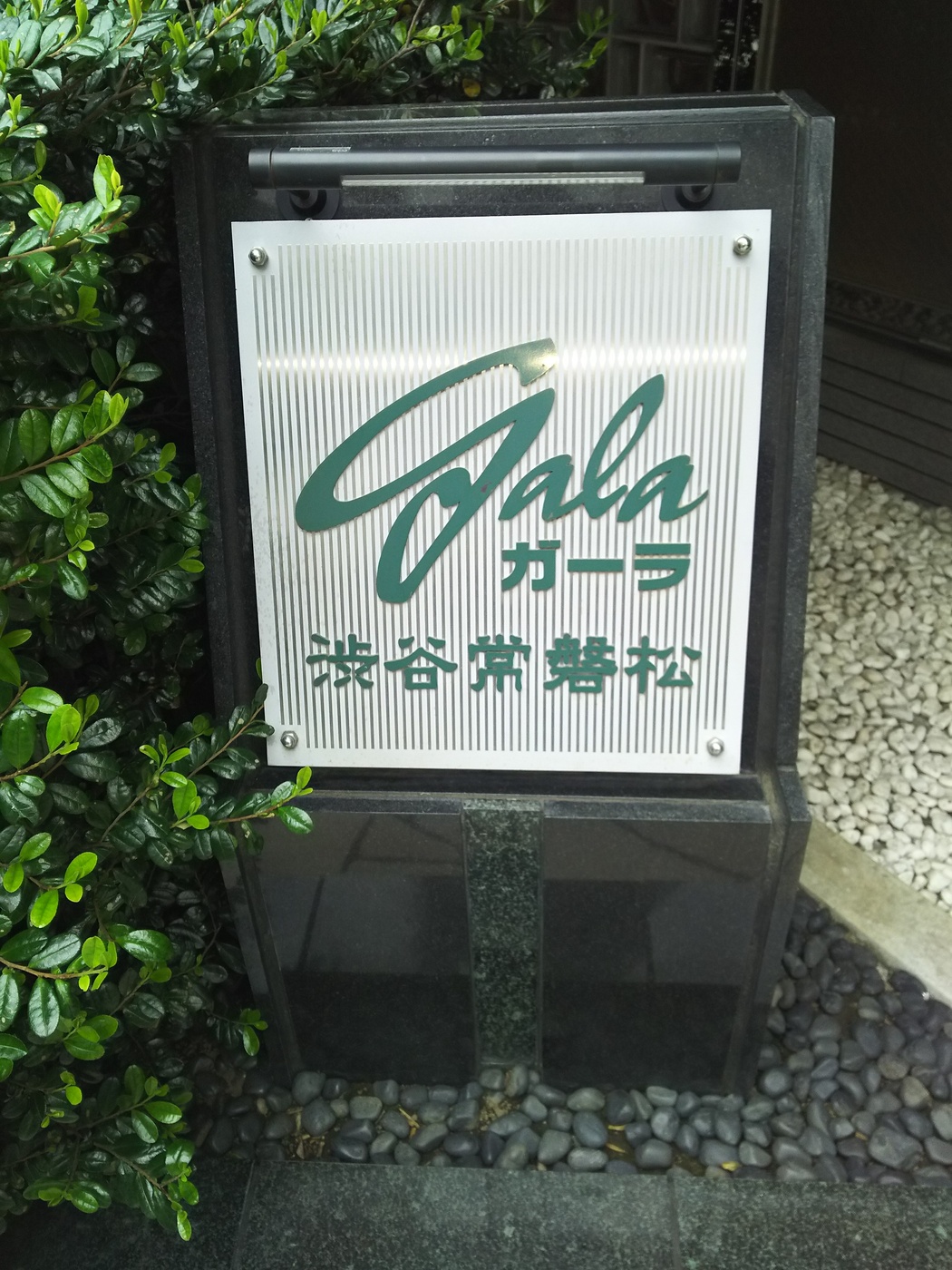 ガーラ渋谷常磐松