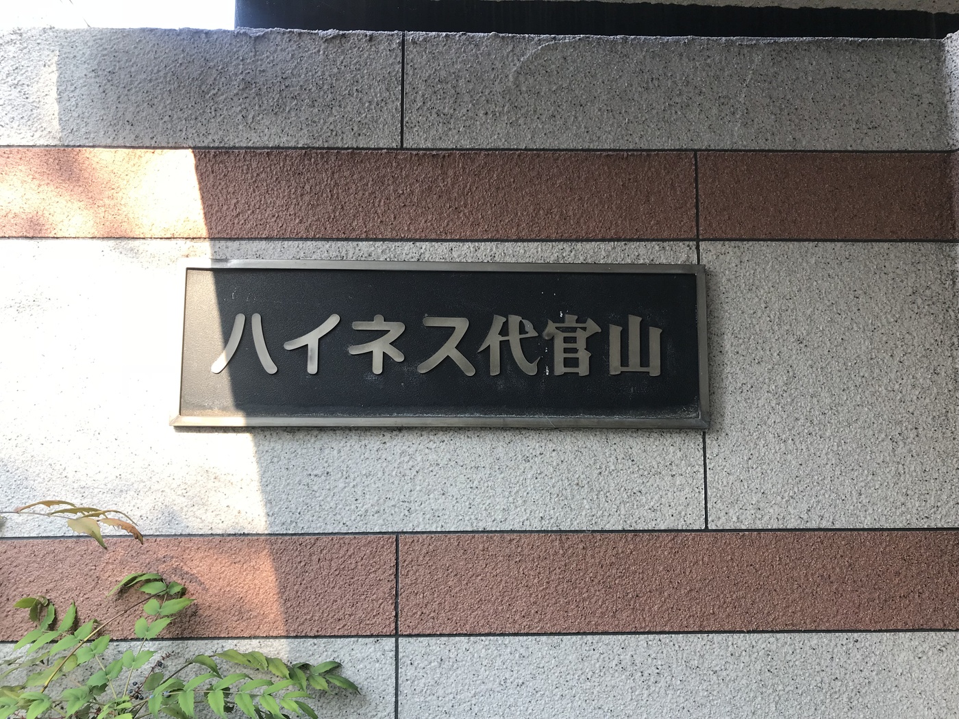 ハイネス代官山