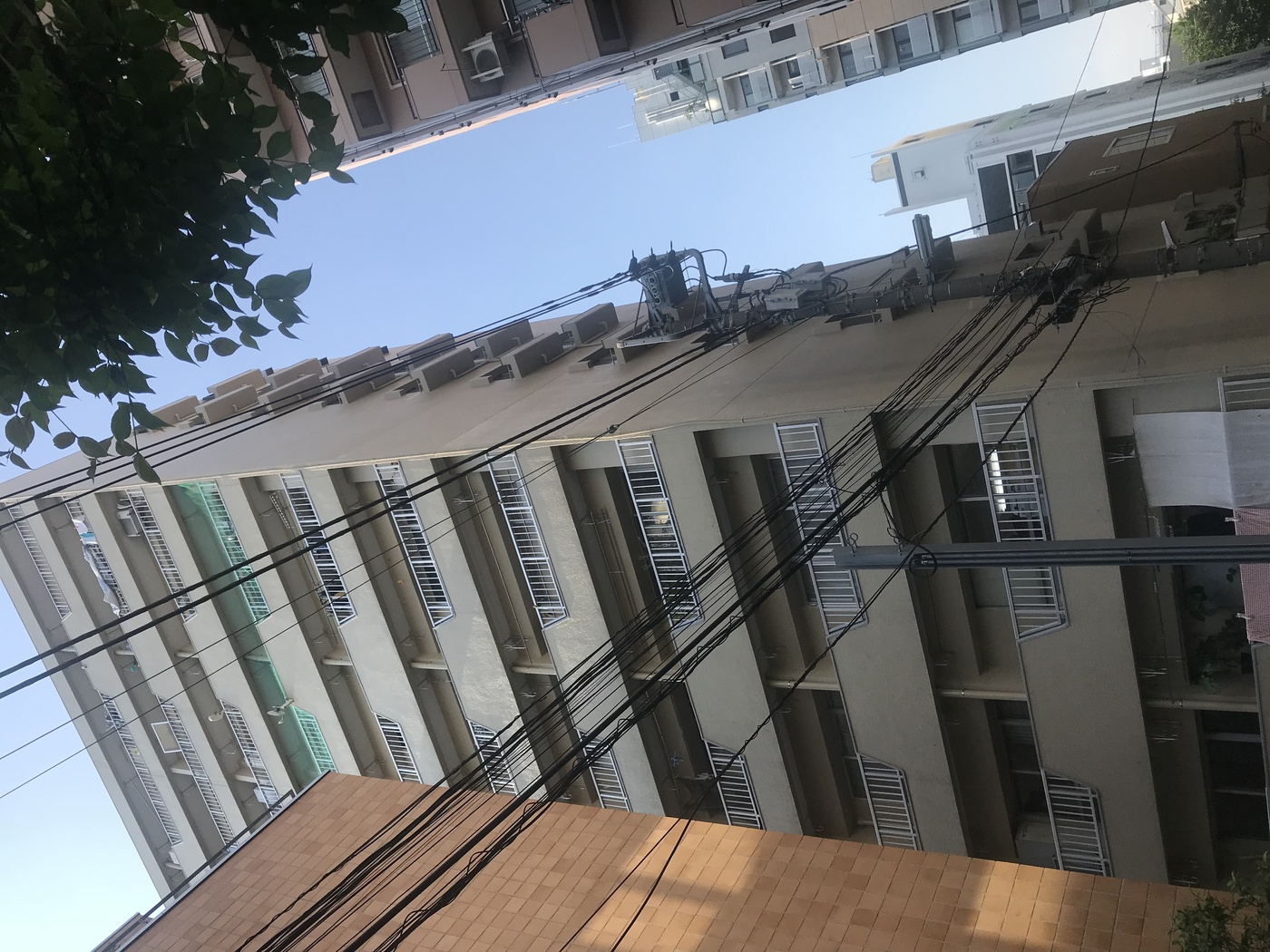 パラシオン恵比寿